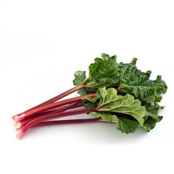 Rhubarb Bunch