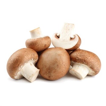 Mushroom Swiss Brown