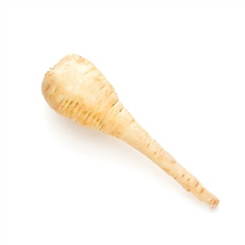 Parsnip