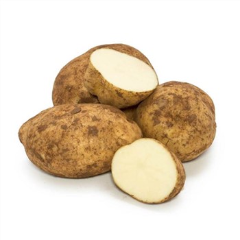 Potatoes Brushed Dutch Cream