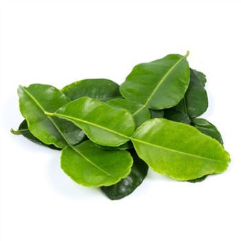 Kaffir Lime Leaves (3)