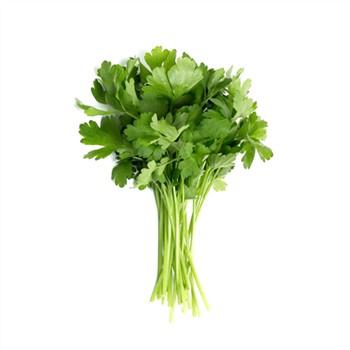 Parsley Continental