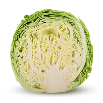 Cabbage White | Half